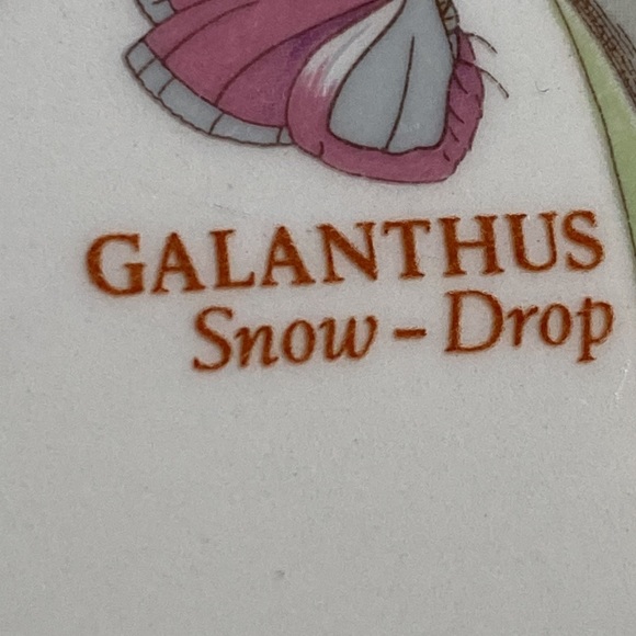 2 Portmeirion dinner plates 10.5” in 1.5” deep pasta GALANTHUS CROCUS England - Picture 5 of 12